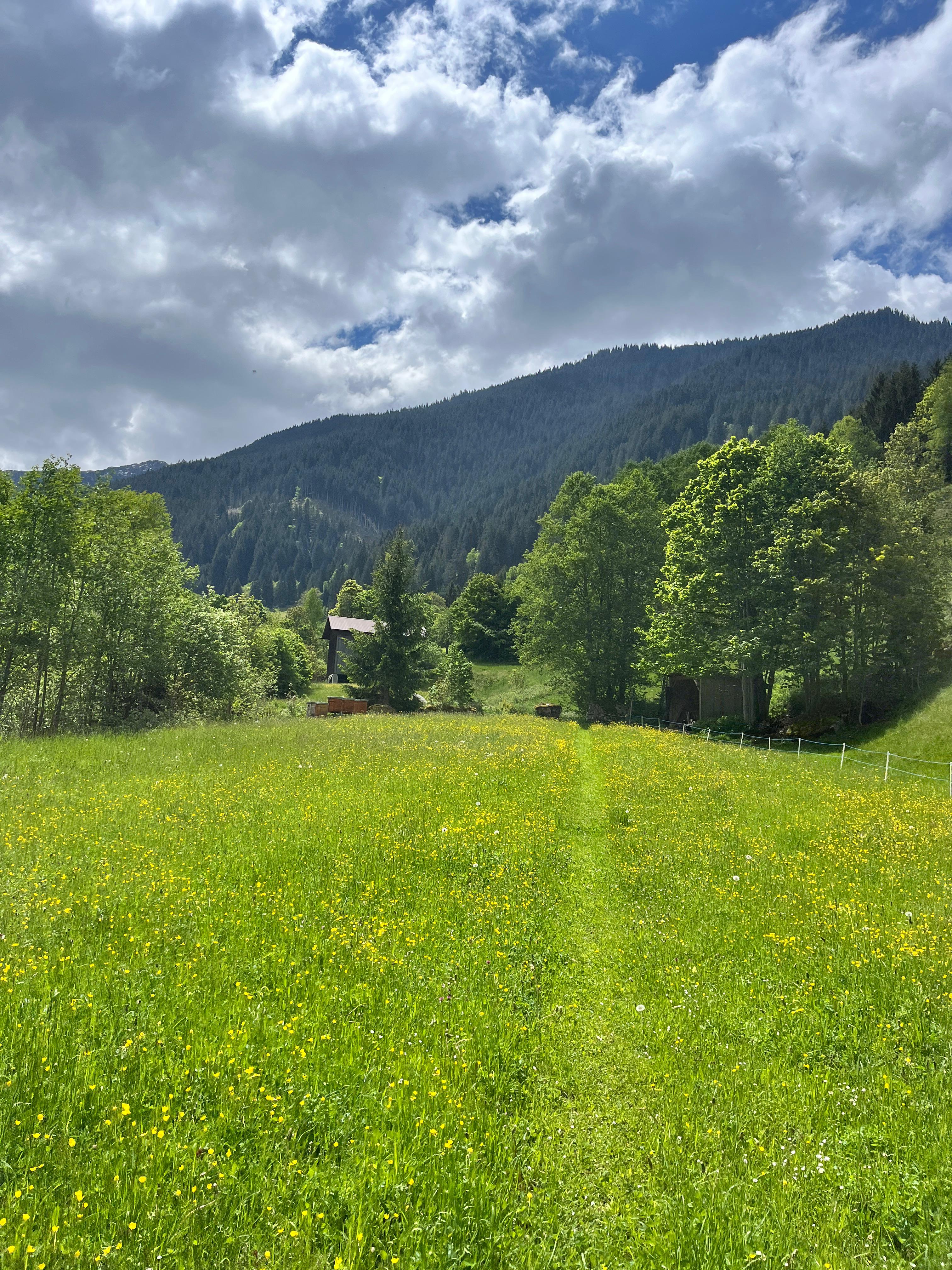 Impression 2 aus Gaschurn 2025