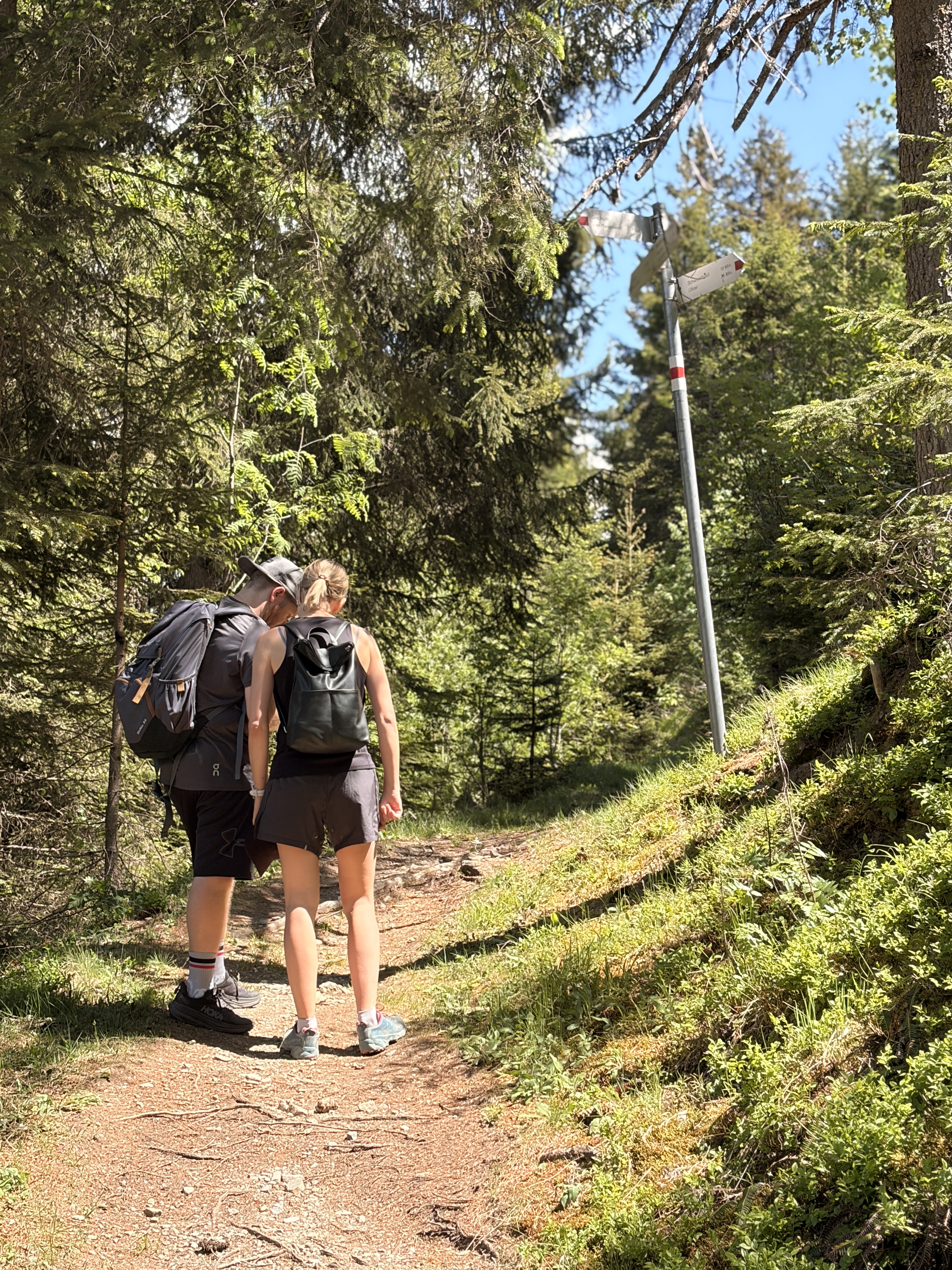 Wanderung auf dem Waldweg, Gaschurn 2026