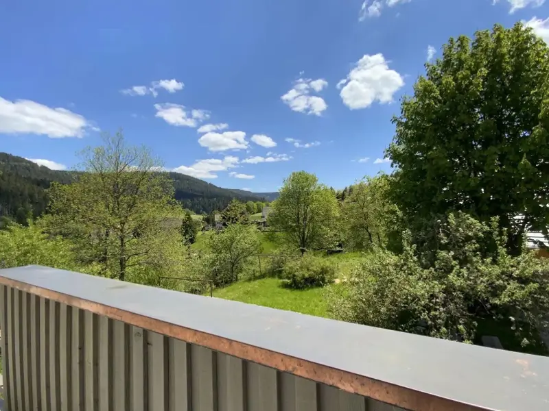 Ausblick vom Ferienhaus ins Murgtal
