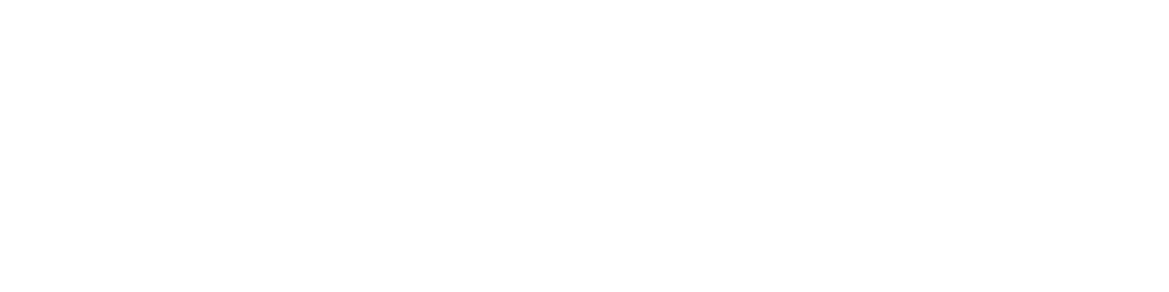 Döbeli Sport Seon – Kooperationspartner